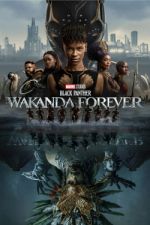 Watch Black Panther: Wakanda Forever 1channel