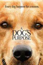 Watch A Dog's Purpose 1channel