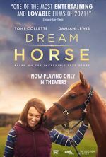 Watch Dream Horse 1channel