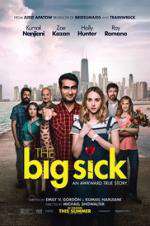 Watch The Big Sick 1channel