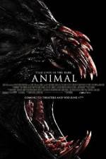 Watch Animal 1channel