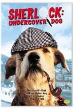 Watch Sherlock Undercover Dog 1channel