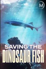 Watch Saving the Dinosaur Fish 1channel