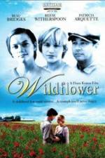 Watch Wildflower 1channel