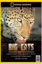 Watch National Geographic: Living With Big Cats 1channel