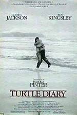 Watch Turtle Diary 1channel