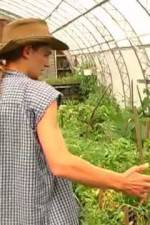 Watch Green House Seeds Strain Hunters India Expedition 1channel