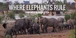 Watch Where Elephants Rule 1channel