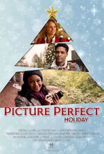 Watch A Picture Perfect Holiday 1channel