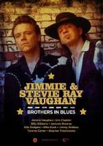 Watch Jimmie and Stevie Ray Vaughan: Brothers in Blues 1channel