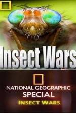 Watch National Geographic Insect Wars 1channel