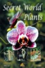 Watch The Secret World of Plants 1channel