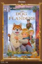 Watch The Dog of Flanders 1channel