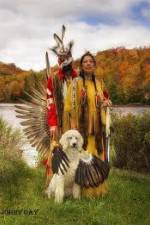 Watch America's First Nations 1channel