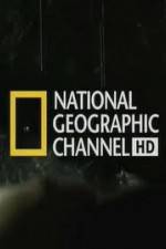 Watch National Geographic Night Stalkers Hyena Gangs 1channel