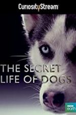 Watch Secret Life of Dogs 1channel