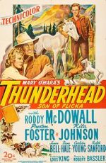 Watch Thunderhead: Son of Flicka 1channel