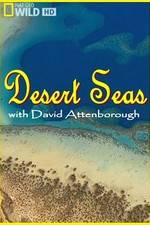 Watch Desert Seas 1channel