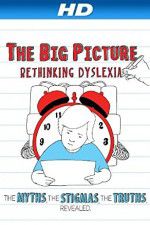 Watch The Big Picture Rethinking Dyslexia 1channel