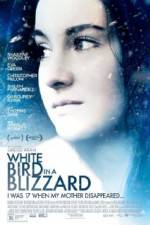 Watch White Bird in a Blizzard 1channel