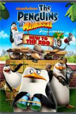 Watch Penguins of Madagascar New to the Zoo 1channel