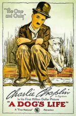 Watch A Dog's Life (Short 1918) 1channel