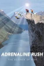 Watch Adrenaline Rush The Science of Risk 1channel