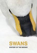 Watch Swans: Mystery of the Missing 1channel