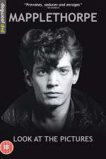 Watch Mapplethorpe: Look at the Pictures 1channel