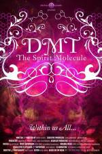 Watch DMT The Spirit Molecule 1channel