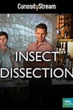 Watch Insect Dissection: How Insects Work 1channel