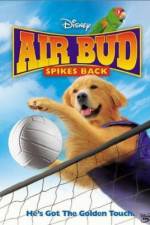 Watch Air Bud Spikes Back 1channel