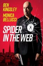 Watch Spider in the Web 1channel