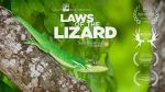 Watch Laws of the Lizard 1channel