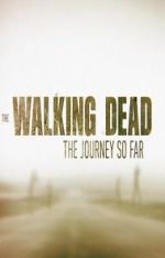 Watch The Walking Dead: The Journey So Far 1channel