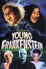 Watch Young Frankenstein 1channel