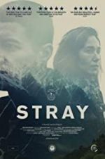 Watch Stray 1channel