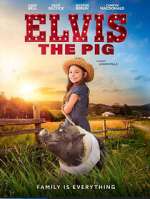 Watch Elvis the Pig 1channel