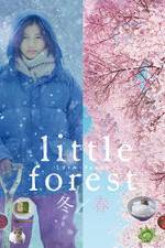 Watch Little Forest: Winter/Spring 1channel