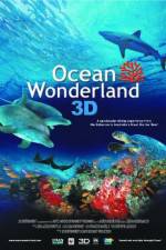 Watch Ocean Wonderland 1channel