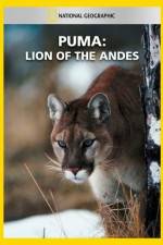 Watch National Geographic Puma: Lion of the Andes 1channel