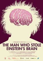 Watch The Man Who Stole Einstein\'s Brain 1channel