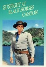 Watch Gunfight at Black Horse Canyon 1channel