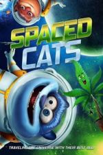 Watch Spaced Cats 1channel