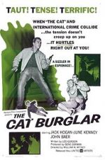 Watch The Cat Burglar 1channel