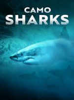 Watch Camo Sharks 1channel