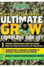 Watch Jorge Cervantes Ultimate Grow Complete Box Set 1channel