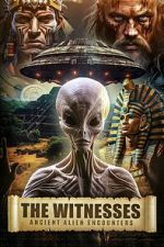 Watch The Witnesses: Ancient Alien Encounters 1channel
