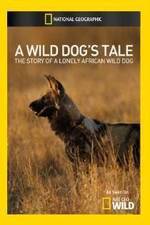 Watch A Wild Dogs Tale 1channel