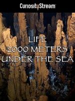 Watch Life 2,000 Meters Under the Sea 1channel